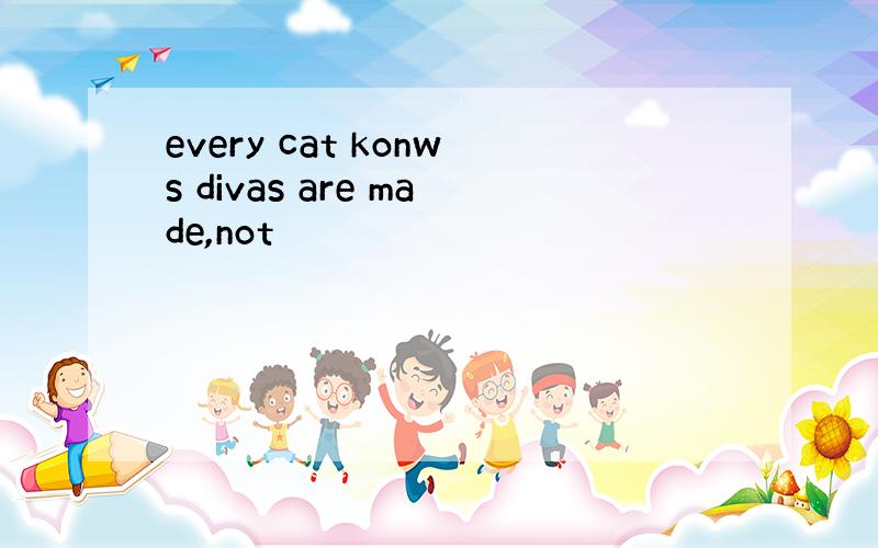 every cat konws divas are made,not