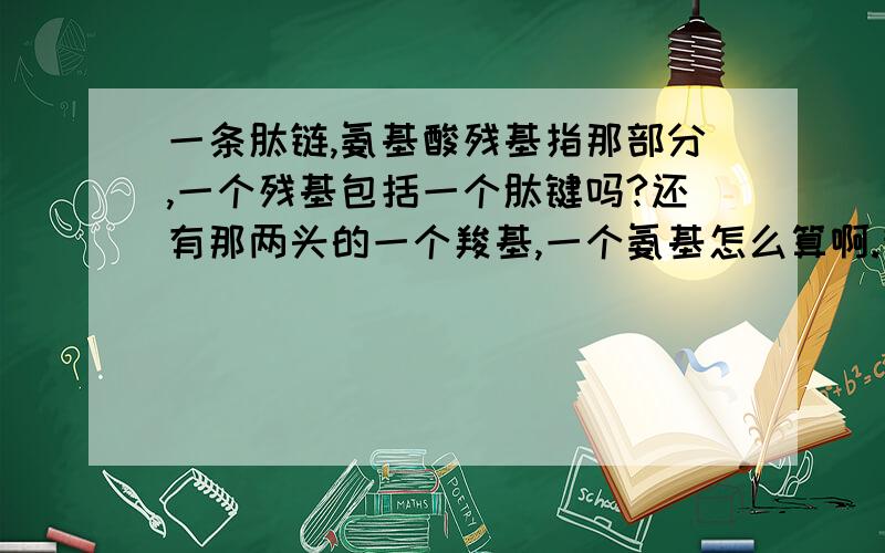 一条肽链,氨基酸残基指那部分,一个残基包括一个肽键吗?还有那两头的一个羧基,一个氨基怎么算啊.我是菜鸟,..