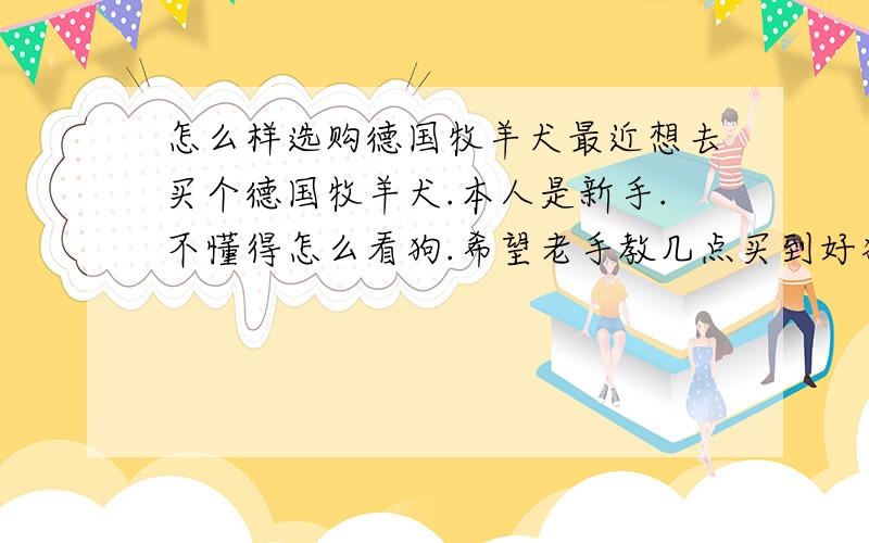 怎么样选购德国牧羊犬最近想去买个德国牧羊犬.本人是新手.不懂得怎么看狗.希望老手教几点买到好狗的经验.最好简单实用的.复