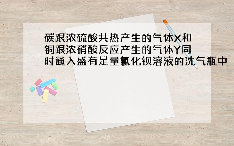 碳跟浓硫酸共热产生的气体X和铜跟浓硝酸反应产生的气体Y同时通入盛有足量氯化钡溶液的洗气瓶中（如图所示），下列有关说法正确