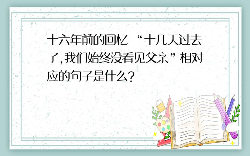 十六年前的回忆 “十几天过去了,我们始终没看见父亲”相对应的句子是什么?