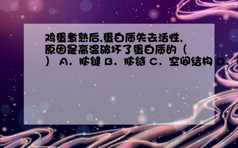 鸡蛋煮熟后,蛋白质失去活性,原因是高温破坏了蛋白质的（ ） A．肽键 B．肽链 C．空间结构 D．氨基酸