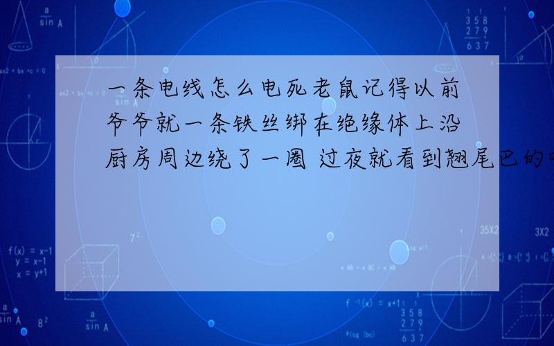 一条电线怎么电死老鼠记得以前爷爷就一条铁丝绑在绝缘体上沿厨房周边绕了一圈 过夜就看到翘尾巴的唧星人了