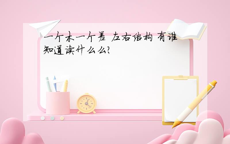 一个木一个差 左右结构 有谁知道读什么么?