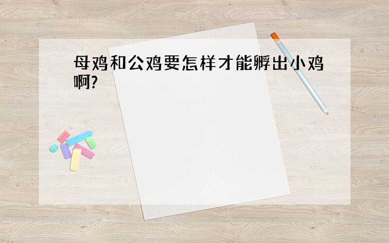 母鸡和公鸡要怎样才能孵出小鸡啊?