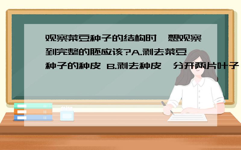 观察菜豆种子的结构时,想观察到完整的胚应该?A.剥去菜豆种子的种皮 B.剥去种皮,分开两片叶子