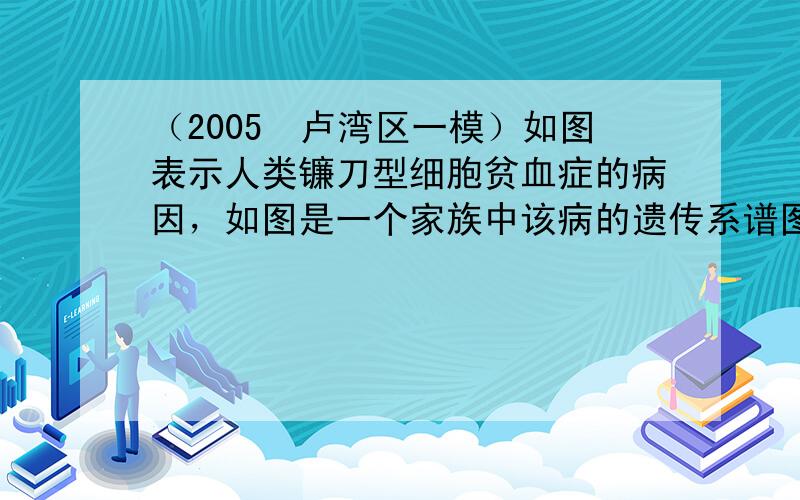 （2005•卢湾区一模）如图表示人类镰刀型细胞贫血症的病因，如图是一个家族中该病的遗传系谱图（控制基因为B，b），请根据