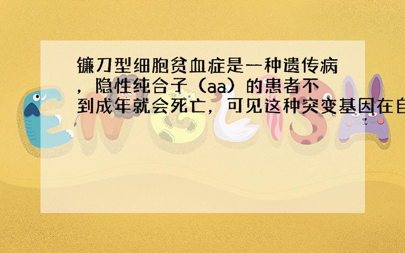 镰刀型细胞贫血症是一种遗传病，隐性纯合子（aa）的患者不到成年就会死亡，可见这种突变基因在自然选择的压力下容易被淘汰.但