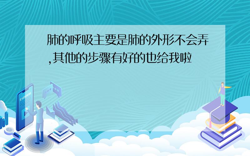 肺的呼吸主要是肺的外形不会弄,其他的步骤有好的也给我啦