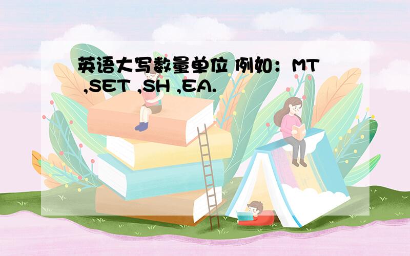 英语大写数量单位 例如：MT ,SET ,SH ,EA.