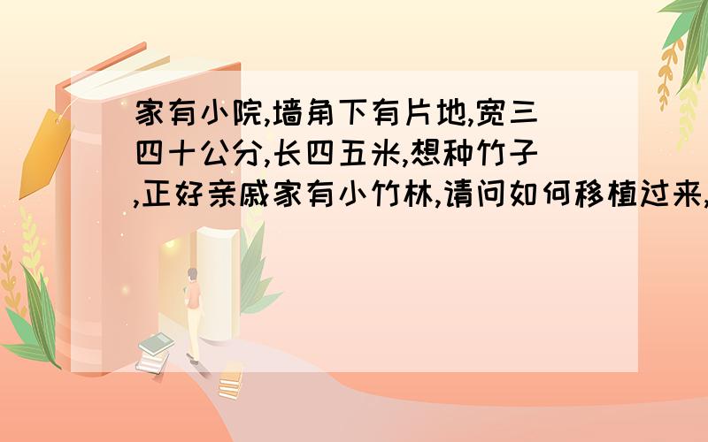 家有小院,墙角下有片地,宽三四十公分,长四五米,想种竹子,正好亲戚家有小竹林,请问如何移植过来,现在12月份,