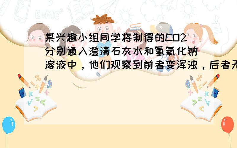 某兴趣小组同学将制得的CO2分别通入澄清石灰水和氢氧化钠溶液中，他们观察到前者变浑浊，后者无明显现象．CO2和NaOH是