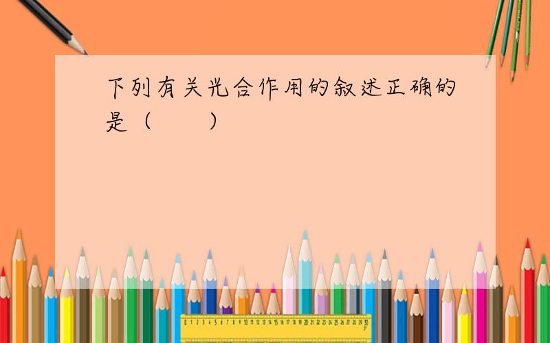 下列有关光合作用的叙述正确的是（　　）