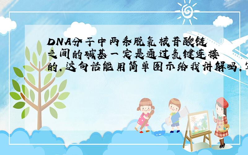 DNA分子中两条脱氧核苷酸链之间的碱基一定是通过氢键连接的,这句话能用简单图示给我讲解吗,写出来也可以,