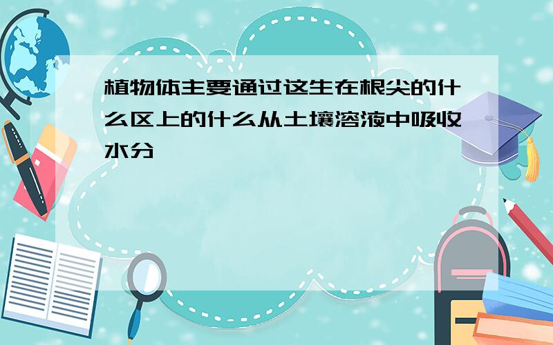 植物体主要通过这生在根尖的什么区上的什么从土壤溶液中吸收水分