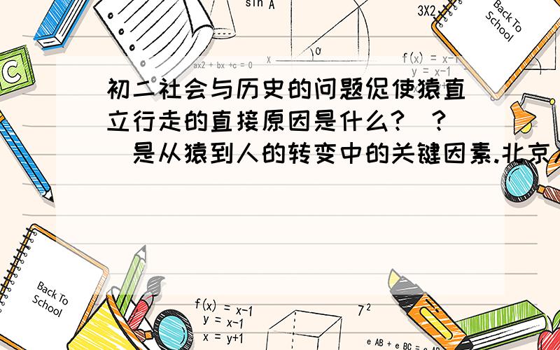 初二社会与历史的问题促使猿直立行走的直接原因是什么?＿?＿是从猿到人的转变中的关键因素.北京人的生活状况是什么?山顶洞人