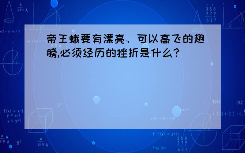 帝王蛾要有漂亮、可以高飞的翅膀,必须经历的挫折是什么?