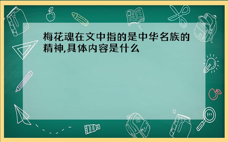 梅花魂在文中指的是中华名族的精神,具体内容是什么