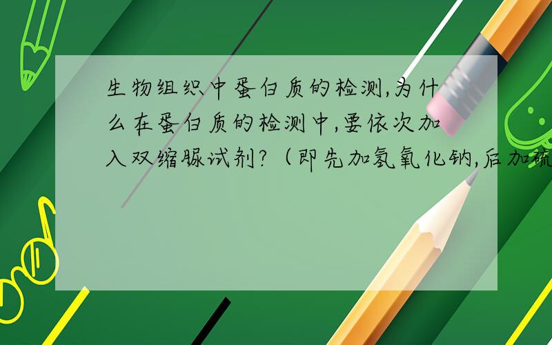 生物组织中蛋白质的检测,为什么在蛋白质的检测中,要依次加入双缩脲试剂?（即先加氢氧化钠,后加硫酸铜）