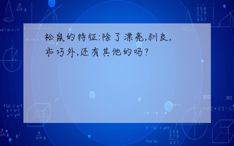 松鼠的特征:除了漂亮,驯良,乖巧外,还有其他的吗?