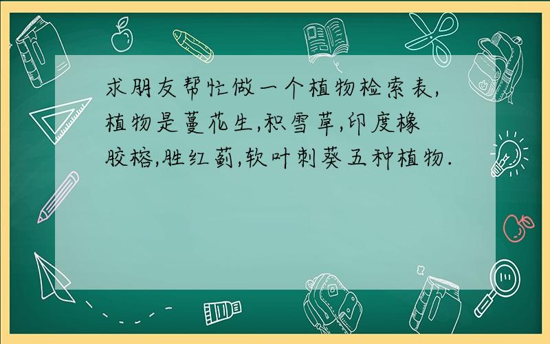 求朋友帮忙做一个植物检索表,植物是蔓花生,积雪草,印度橡胶榕,胜红蓟,软叶刺葵五种植物.