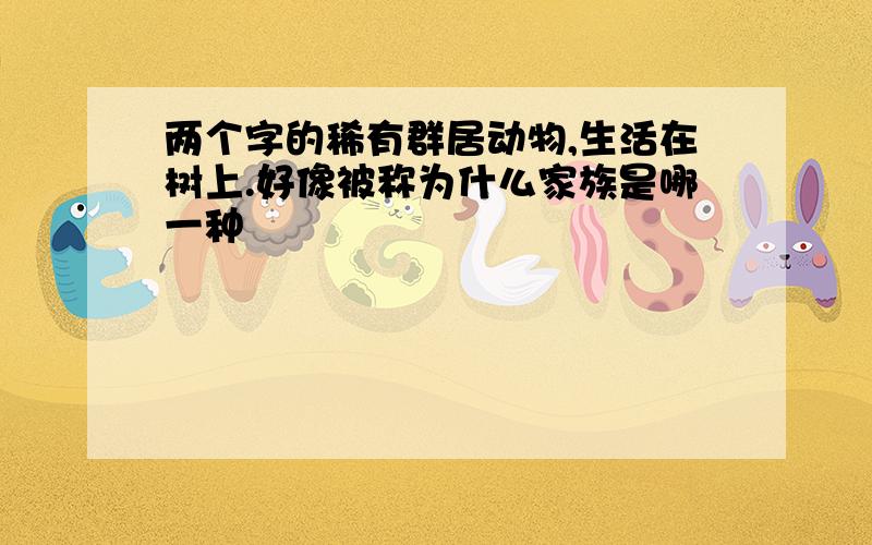 两个字的稀有群居动物,生活在树上.好像被称为什么家族是哪一种