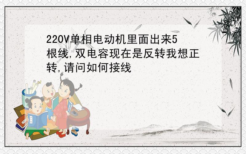 220V单相电动机里面出来5根线,双电容现在是反转我想正转,请问如何接线