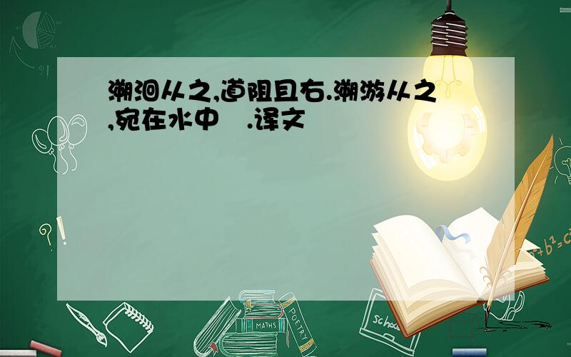 溯洄从之,道阻且右.溯游从之,宛在水中沚.译文