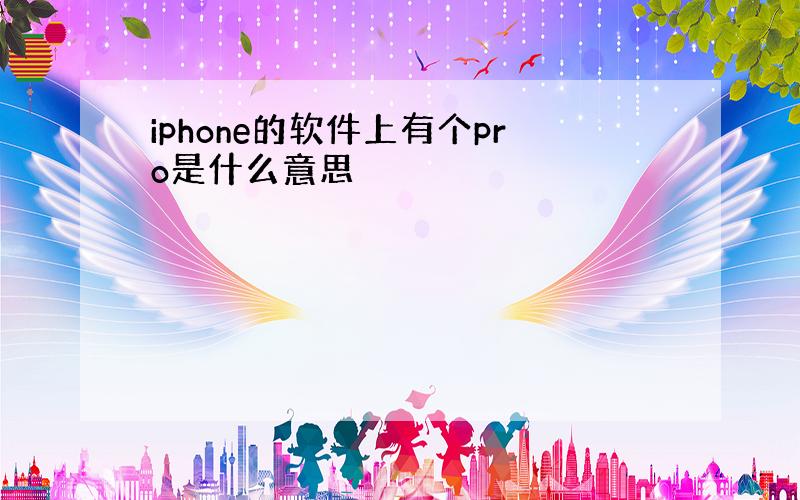 iphone的软件上有个pro是什么意思