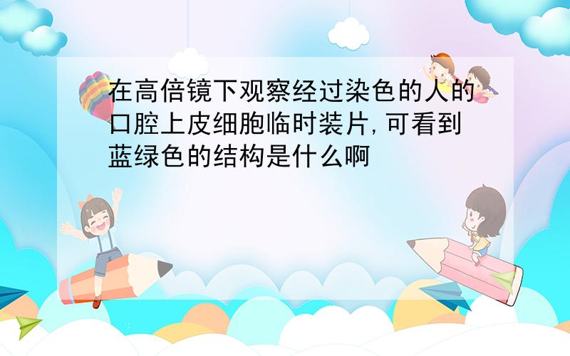 在高倍镜下观察经过染色的人的口腔上皮细胞临时装片,可看到蓝绿色的结构是什么啊