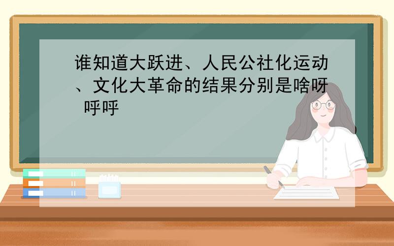 谁知道大跃进、人民公社化运动、文化大革命的结果分别是啥呀 呼呼