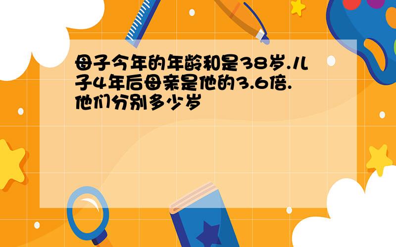 母子今年的年龄和是38岁.儿子4年后母亲是他的3.6倍.他们分别多少岁