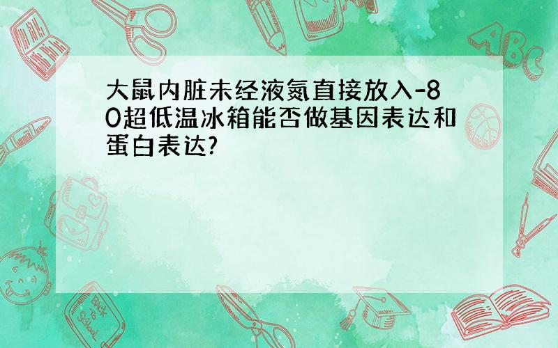 大鼠内脏未经液氮直接放入-80超低温冰箱能否做基因表达和蛋白表达?