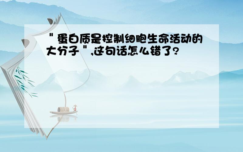 ＂蛋白质是控制细胞生命活动的大分子＂,这句话怎么错了?