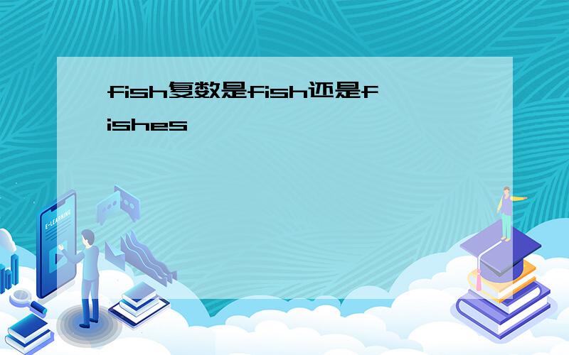 fish复数是fish还是fishes