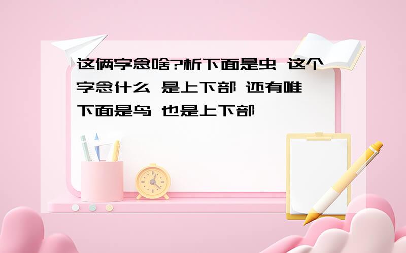 这俩字念啥?析下面是虫 这个字念什么 是上下部 还有唯 下面是鸟 也是上下部