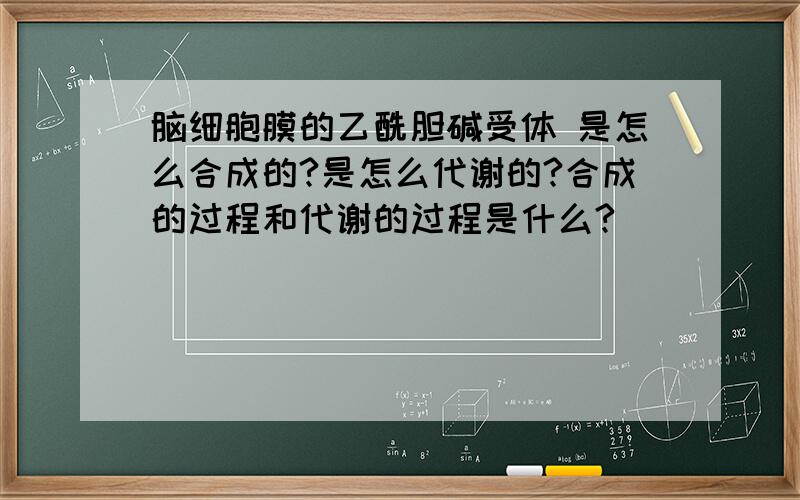 脑细胞膜的乙酰胆碱受体 是怎么合成的?是怎么代谢的?合成的过程和代谢的过程是什么?