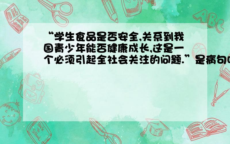 “学生食品是否安全,关系到我国青少年能否健康成长,这是一个必须引起全社会关注的问题.”是病句吗?