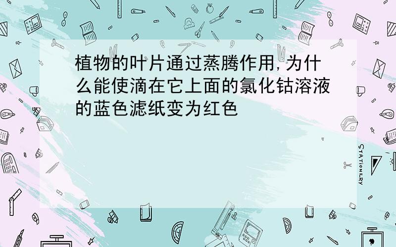 植物的叶片通过蒸腾作用,为什么能使滴在它上面的氯化钴溶液的蓝色滤纸变为红色