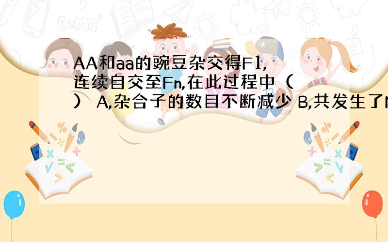 AA和aa的豌豆杂交得F1,连续自交至Fn,在此过程中（） A,杂合子的数目不断减少 B,共发生了N次等位基因的分离