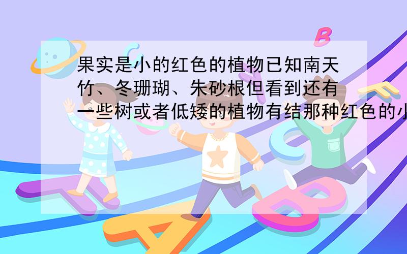 果实是小的红色的植物已知南天竹、冬珊瑚、朱砂根但看到还有一些树或者低矮的植物有结那种红色的小小的果实请问还有什么植物是这