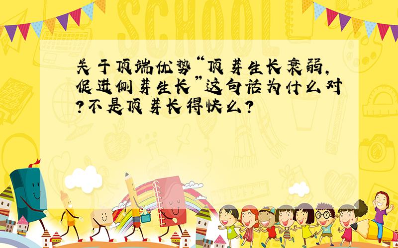 关于顶端优势“顶芽生长衰弱,促进侧芽生长”这句话为什么对?不是顶芽长得快么?