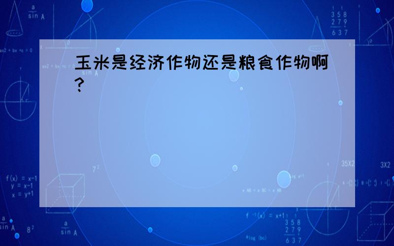 玉米是经济作物还是粮食作物啊?