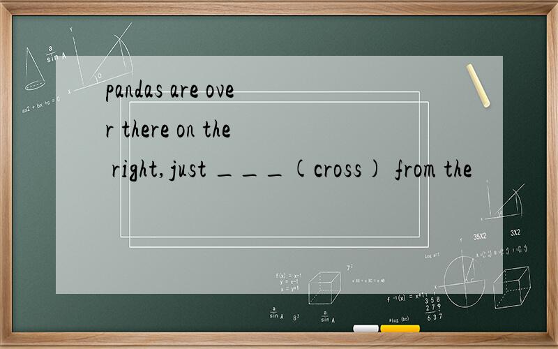 pandas are over there on the right,just ___(cross) from the