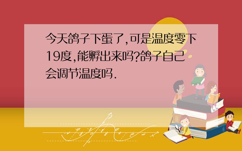 今天鸽子下蛋了,可是温度零下19度,能孵出来吗?鸽子自己会调节温度吗.