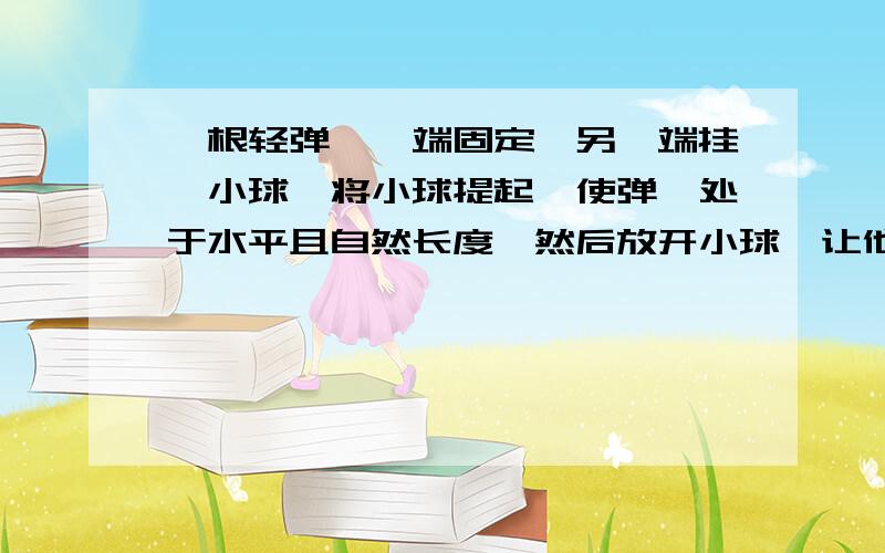 一根轻弹簧一端固定,另一端挂一小球,将小球提起,使弹簧处于水平且自然长度,然后放开小球,让他自由摆下,在摆向竖直位置的过