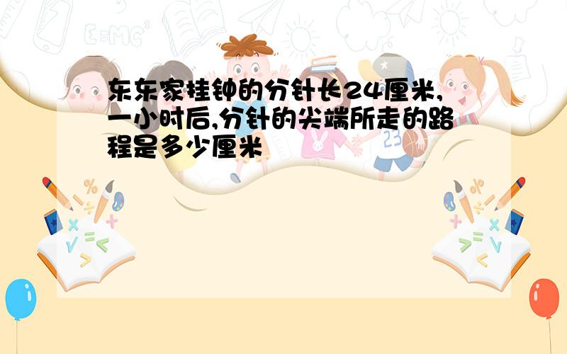 东东家挂钟的分针长24厘米,一小时后,分针的尖端所走的路程是多少厘米