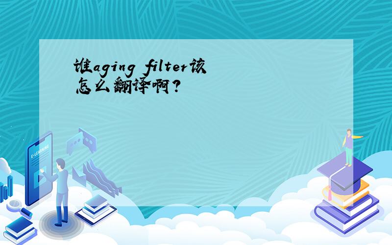 谁aging filter该怎么翻译啊?