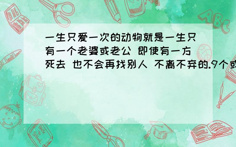 一生只爱一次的动物就是一生只有一个老婆或老公 即使有一方死去 也不会再找别人 不离不弃的.9个或以上我们语文书上说:大雁