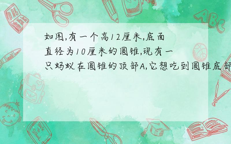 如图,有一个高12厘米,底面直径为10厘米的圆锥,现有一只蚂蚁在圆锥的顶部A,它想吃到圆锥底部B处的食物,需要爬行的最短